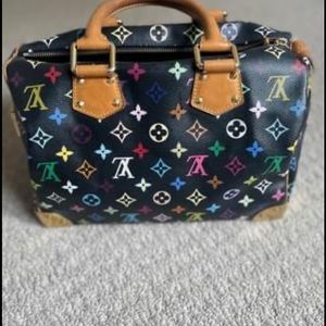 Louis VuittonSpeedy Handbag Monogram Multicolor 30